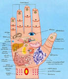 Chart of Hand Areas and Corresponding Body Organs