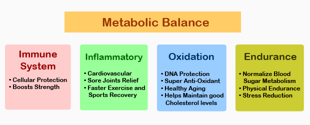 Metabolic Balance - Immune System, Inflammatory, Oxidation, Endurance