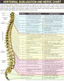 Vertebral Sublaxation and Nerve Chart - Spinal Cord
