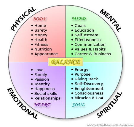 Practical Wellness Guide - Wellness Circle
